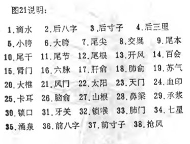 acupuncture-points-part-2.jpg